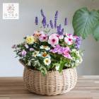 ���֤���� ���ޤ������ֵ���δ󤻿���in�����ߥ˥Х����å� ����(S������)��