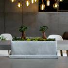 ������ޥ�ȭ����(�������դ�)�ڥޥ��쥯L�� (�ߥ塼��ߥ� murmures��