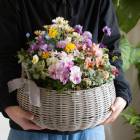 �֤���륢��󥸴󤻿����֥����ߥ˥Х����å� ����(L������)�פ��ޤ��� ���������ᥤ�ɲ� ���� �ߥ塼��ߥ�