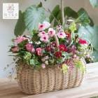 ���֤���� ���ޤ������ֵ���δ󤻿���in�����ߥ˥Х����å� �쥯��