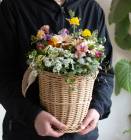 ֤륢󥸴󤻿֥ߥ˥Хå פޤ ᥤɲ  ߥ塼ߥ