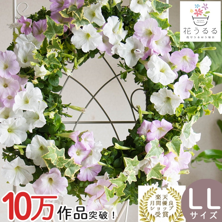 花うるる おまかせ／「季節の寄せ植えinシンプルリースLLサイズ