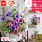 ������� �֤���롿�֤���� �󤻿��� ����̵���֥����͡������ ����� L��������