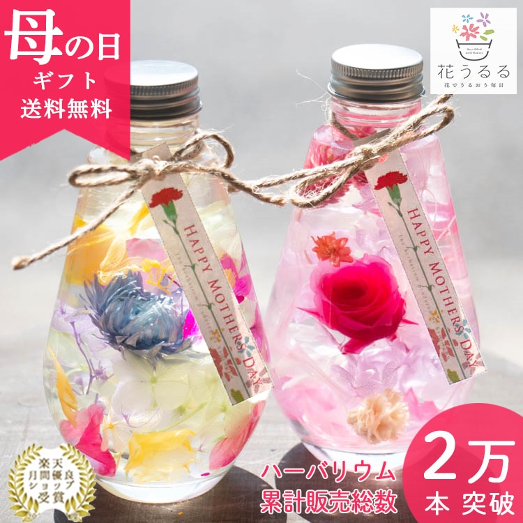 即日発送OK／プレゼント カーネーション入 花うるる ハーバリウム