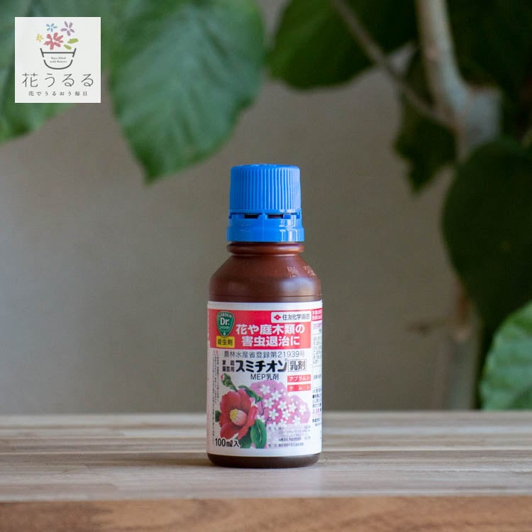 Хȸãߥ  100ml  (ͧر    ̼ ѻ    ֥ॷ ॷ Х Ф   ߥ˥Х ĤХ ĥХ  Ʀ տʪ   4 5 6  