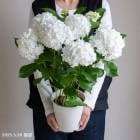 Ȭ�ź餭 �������������֥ե���󥷥��� 5��ȭ 