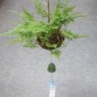 �������դ����֤Ĥꤷ�Τ֡ס��ߤꤷ�Τ� �ߤꤵ�� �Ĥꤵ�� �ϥ󥮥� ���� ���渵 ���ޡ����ե� �ݶ� ������ ���� �������ɥ����ǥ� �ô� ���� ���� ���� ���͵� ���տ�ʪ ���꡼�� ���� ���ô� ����䤫 �� �� �� �� ��ǯ���