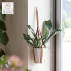 �쥶���ϥ󥮥󥰥������դ��ڥ��������� 