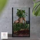 ���տ�ʪ �ڥƥ�ꥦ�� �������� �ȡ����