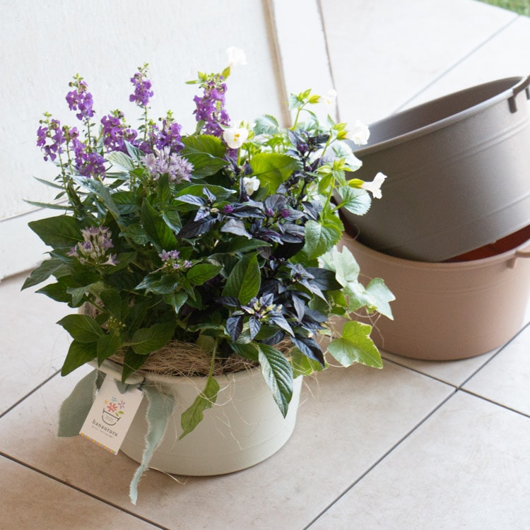 ڤȯۡԤС̸ Ƥο 󤻿 ֤ 󥸡ڥ ޡ 2025ۥХå M