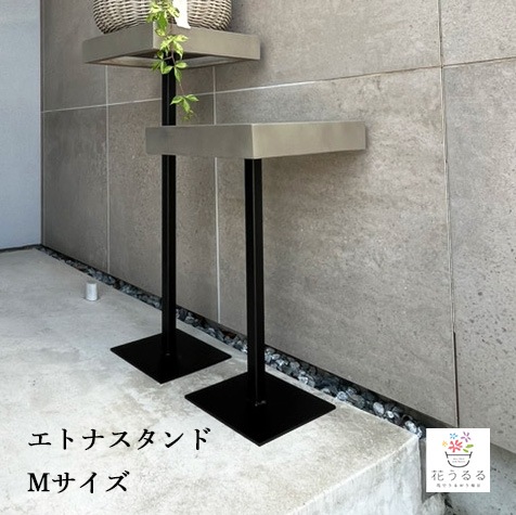 重厚なフラワースタンド [エトナスタンド50 (Mサイズ)] | ハンギング