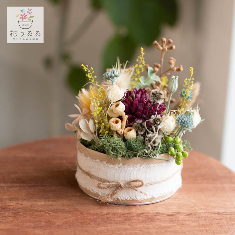 ����ȯ�䡿�ץꥶ���֥ɥե��β֤���륢��󥸡֥ʥ����� �����ǥ��