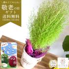 �����̸��꡿��Ϸ������ �֤����ڥ�������ȭ�����ۿ��Ѥ�ꤹ��͵���ʪ���ۤ�����