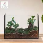 տʪ ڥƥꥦ 쥯󥰥