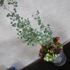 �桼����ɥݥݥ饹�ɤ� �֤���� �󤻿���[�饰���奢�꡼����ƥ� �֥�å�L]�⤵100cm����