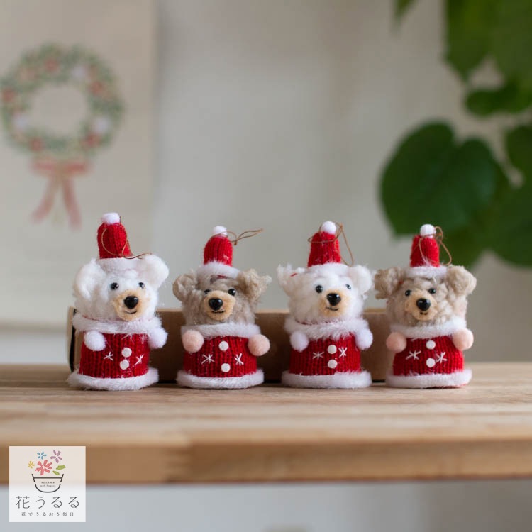 ���ꥹ�ޥ� ����  [cm1499�դ�դ�ե���ȥ����ʥ���BOX ���塼�Ȥʥ��ޤ���(4�Υ��å�1Ȣ)]