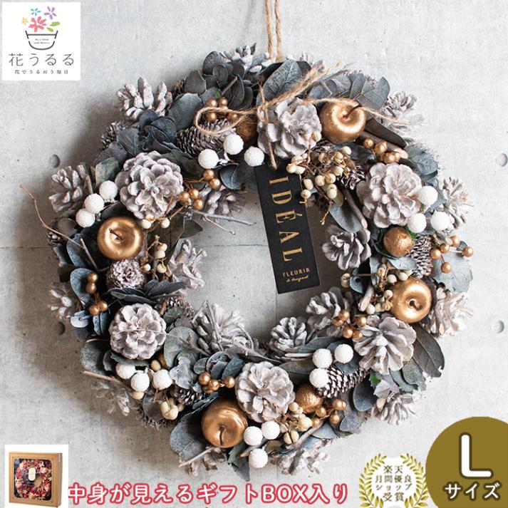 ꡼ ɥ饤ե [쥤å奦󥿡 cm1636-a]ľ30cm