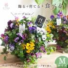 �����٤��󤻿��������ǥ��֥�ե�[�ӥ���ȥ��å���ϡ��֤� �֤���� ����� �ϥ󥮥󥰥Х����å� M������]  | ���� �ϡ��� ���Ѳ� ���� �ե����ե� �����ڱ� ���ݥ��å� �������ץ쥼��� ���� �� �� �� ���� ��̳�� �� �����ǥ˥� ���� ���ե� ���� 