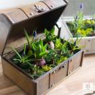 ������������䡿�֤���륢��� ���Ԥ��󿢤� �ֲ�Ф��庬�Υȥ쥸�㡼BOX �󤻿�����