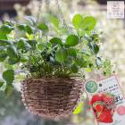 �������ʤ��������ࡿ�֤����֤������ڤ�Ĥܤ��ۤ��ߤꥫ���󤻿�����