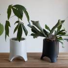 �����̸��꡿��������� �ѥ��� ȭ����(�������դ�)�ڥ�르��