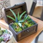 ������������䡿�֤���륢��� ���Ԥ��󿢤� �ֲ�Ф��庬�Υȥ쥸�㡼BOX �󤻿����ڥॹ����ۡڥޥ������������ۡ�