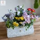 �����̸��꡿�֤���� ���ޤ��� �󤻿����ڥ���ȥХå� �ۥ֥ꥭ �ץ�󥿡� (�ǥ륭 ���� �٥��� ���å� ���ե� �ե����ե� �ץ쥼��� ����ƥ����� ������ ȭ���� �����ǥ˥� �鿴�� ���� ������ ���� ͧ�� �� �� ���� ���� ���۽ˤ� ��Ź�ˤ� ������� ȭ 