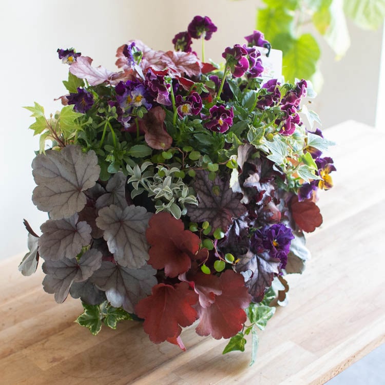 �����Ԥ�������������ȴ���� �֤���� ����󥸡ڥե��ӥ���ߥҥ塼���� (����ƥ�����MIX)�۽ɺ��� ������ȴ�� �ϥ󥮥� �󤻿��� ¿ǯ�� �ɥ���� ���顼�꡼�� �󿢤� �ϥ󥮥󥰥Х����å� �饰���奢�꡼ �ץ�ߥ� ��� ���� ���� ������� ���ե� ���å� ������