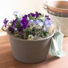 ���ޤȤ��㤤������̵�����ӥ��� �֤���� �󤻿���[������]���������Х����å�M.ver