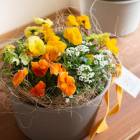 ���ޤȤ��㤤������̵�����ӥ��� �֤���� �󤻿���[���ˡ�]���������Х����å�M.ver