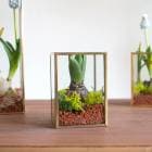 �����ָ��꡿��̺��ݥ��å� ��Ф��庬 �֥ҥ䥷��in�ե졼�॰�饹��(�ֿ�:���ޤ���)