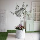 �����̸��꡿���꡼�֤β֤����󤻿����ڴ���ȭ��(�⤵100cm��130cm���塦���κ�����)��