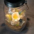 �ڿ� ���ͥ󥰥饹�߲֤����ۥ֡����ʥ֥롼�ˡ���������Ź���ݾڽ��� Classic1000ml Genelation6�� 