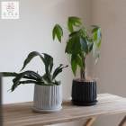 ̸꡿ ѥ ȭ(դ)ڥ (ߥ塼ߥ  տʪ  ѱ 鿴Ը Źˤ Ź ե  åץ ȯ  ƥꥢ  ʪ   ʪ å £ʪ  ե ۽ˤ 