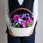 �����������С��ڥ���˥� �ϥ�ǥ��ץ�󥿡� �󤻿���[�ѥ��ƥ�] 