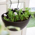 ��2�İʾ� ����̵���������������� ���������Ĥι�� Ȭ�ź餭 �ڥ���˥� �ϥ󥮥� �󤻿��� �ɥ쥹���åסڥ�٥�����ԥ󥯥������ߥ饤�ȥ֥롼��