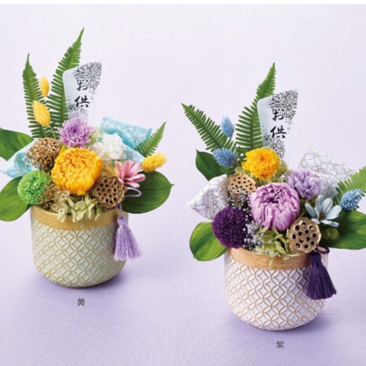 ץꥶ֥ɥե֤Υ󥸡֤ޤɤ  ʩ ʩ ʩ   ʩ ̿    ڥå ̵ 