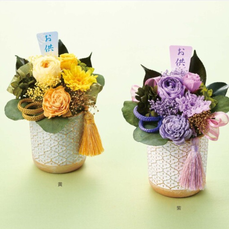 �ץꥶ���֥ɥե��������֤Υ���󥸡־��� ������ ʩ�� ��ʩ�� ʩ�� ���� ���� ʩ�� ̿�� ���� ���� ����� �ڥå� ����̵�� ����