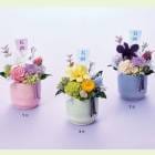 ץꥶ֥ɥե֤Υ󥸡֤դߤ  ʩ ʩ ʩ   ʩ ̿    ڥå ̵ 