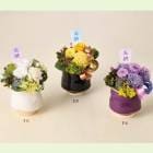 ץꥶ֥ɥե֤Υ󥸡֤ۤʤߡ  ʩ ʩ ʩ   ʩ ̿    ڥå ̵ 