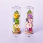 ץꥶ֥ɥե֤Υ󥸡֤󤫡 