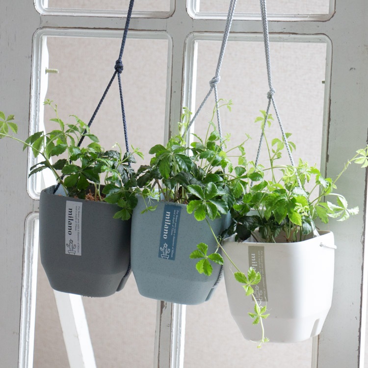 ����Ƥ륤��ƥꥢ���֥��奬���Х���Υϥ󥮥󥰥ݥåȡ�