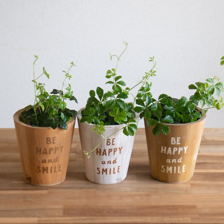 ����Ƥ륤��ƥꥢ���֥��奬���Х���Υ��åɥݥåȡ�4483 