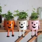 Ƥ륤ƥꥢ֤ եȤˤڥ֥ꥭޥߥ奬Х