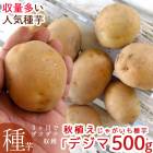 �ǽ����Ԥ������ޥĥ����Τ�ʤ��������ý��� ���㤬���� �磻��֥ǥ��� 500g��(Ĺ�긩��) [������ʺ�] 