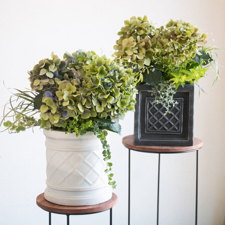 �����̴������ꡦ���Τʤ������ڻ�ν��������������� �֤����󤻿�������� 