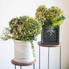 �����̴������ꡦ���Τʤ������ڻ�ν��������������� �֤����󤻿�������� 