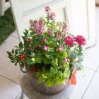 ڤȯۡԤС̸ Ƥο 󤻿 ֤ 󥸡ڥȥԥ 2025ۥХå M