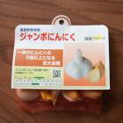 1�ҤǤ����礭������ ���� �����ܥ˥�˥� �� (��) 5�� ̵���ǡ�