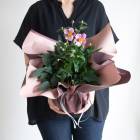 ����Ϸ�������եȤˤ⡿���奦�ᥤ���� ȭ�����ڤ�⤤���֡�����5��ȭ